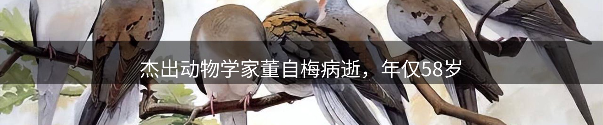 新闻洞察