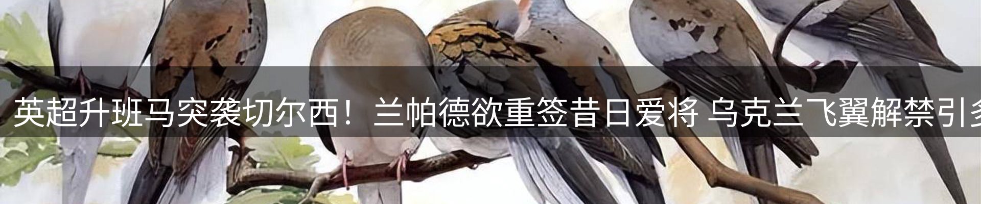 最新资讯