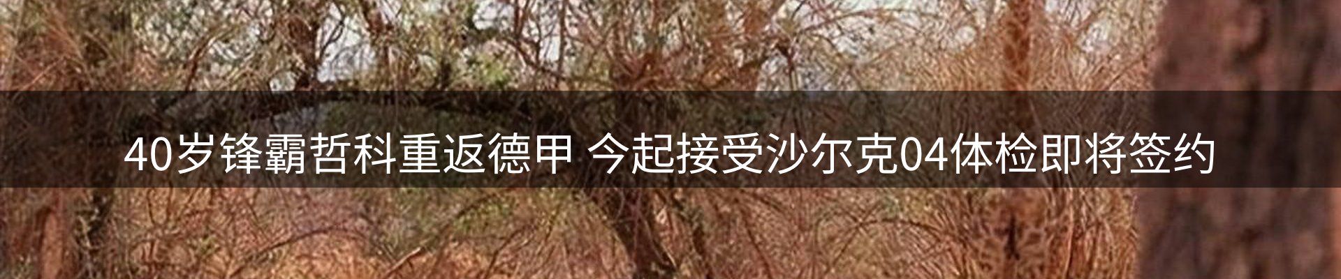 最新资讯